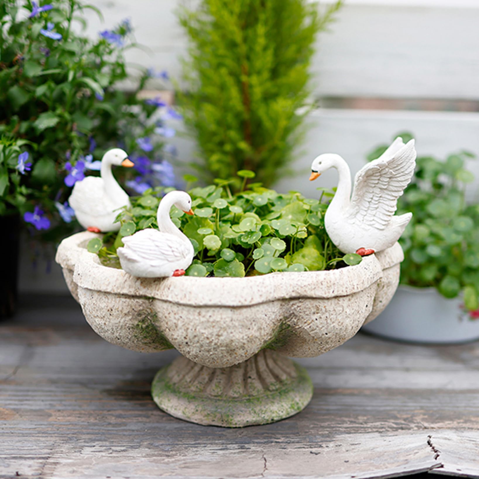 Amazon.co.jp: 多肉植物 花 ポット ホームガーデン 部屋 テーブル 装飾